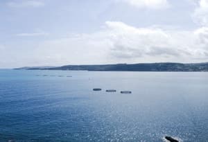 Malta (isla)