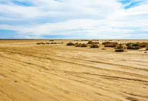 Playa Eucalipto