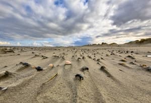 Islas Wadden