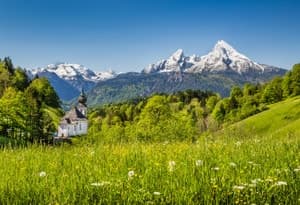 Cham - Bosque de Alta Baviera