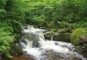 región del parque nacional