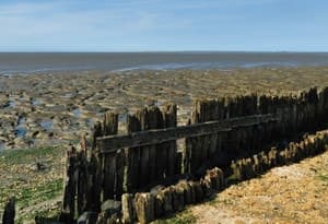 Costa de Wadden