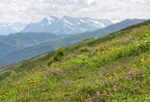 Primera región vacacional en Zillertal