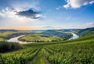 Región turística de Bernkastel-Kues