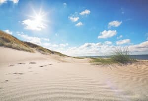 Wangerlandia