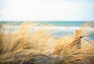 Costa del Mar Báltico de Mecklemburgo