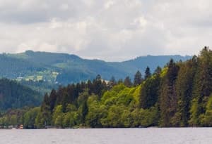 Destino de vacaciones en la Selva Negra